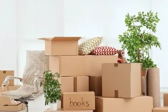 move-in-out-cleaning services