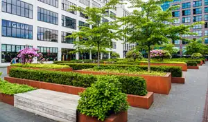 commercial-garden-designing-jeddah