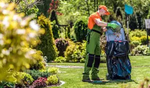 garden-cleaning-jeddah