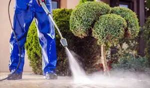 garden-power-washing-jeddah