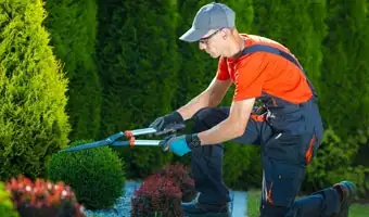 landscape-and-garden-maintenance-riyadh