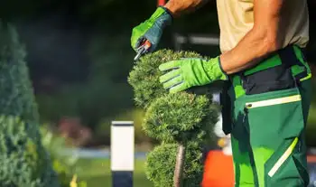 landscape-maintenance-jeddah