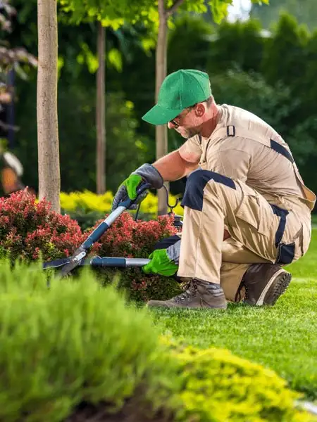 landscape-maintenance-riyadh