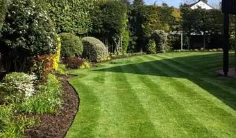 soft-landscape-riyadh