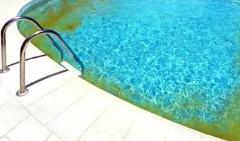 swimming-pool-algae-treatment-riyadh