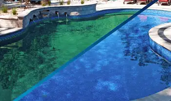 swimming-pool-algea-treatment-jeddah