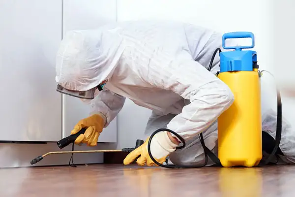 pest control services jeddah