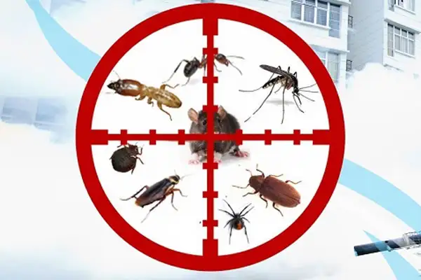 pest control services riyadh
