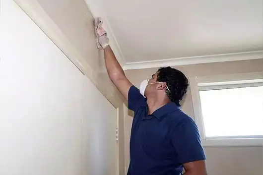 move in and out cvlenaing riyadh